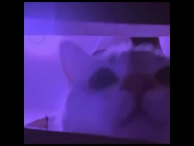 抖音风抽屉变装合集